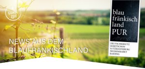 Weingarten im Frühsommer