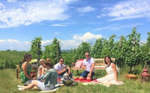 Picknick Villa Goldberg, Weingut Heinrich