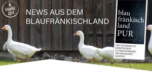 Martini Newsletter Header