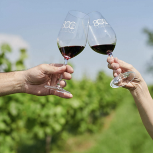 © Rotweinerlebnis Lutzmannsburg