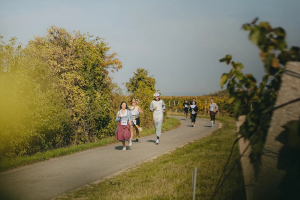 Marathon durch die Weingärten des Blaufränkischlandes