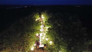 Winzertafel am Weinberg Lutzmannsburg © Vrääth Öhner