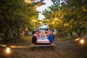 Winzertafel am Weinberg Lutzmannsburg © Vrääth Öhner