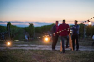 Winzertafel am Weinberg Lutzmannsburg © Vrääth Öhner