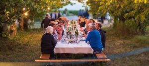 Winzertafel am Weinberg Lutzmannsburg © Vrääth Öhner
